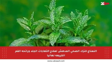النعناع كنزك الصحي المدهش لعلاج التهابات الجلد ورائحة الفم الكريهة نهائيا